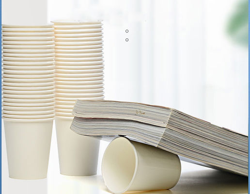 Disposable Paper Cup Customization