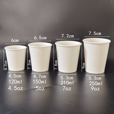 Single Layer And Double-layer PLA Biodegradable Hot Drink Coffee Paper Cup