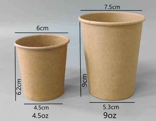 Double Layered PLA Environmentally Friendly Disposable Paper Cup With Thermal Insulation