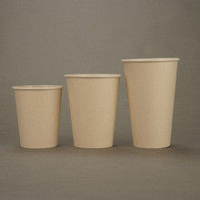 PLA Cups Paper Cups
