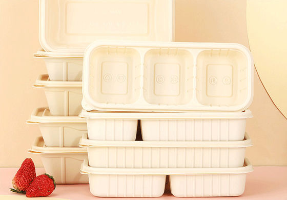 Biodegradable Bowls With Lid