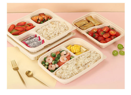 Takeaway Microwavable Bento Food Storage Lunch Boxes Meal Prep Containers