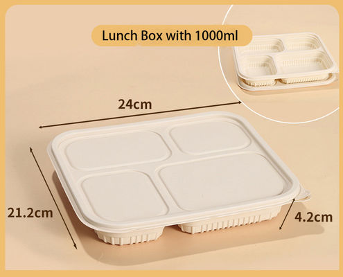Biodegradable Disposable Cornstarch Lunch Boxes Restaurant Corn Starch Food Container Takeaway togo Takeout