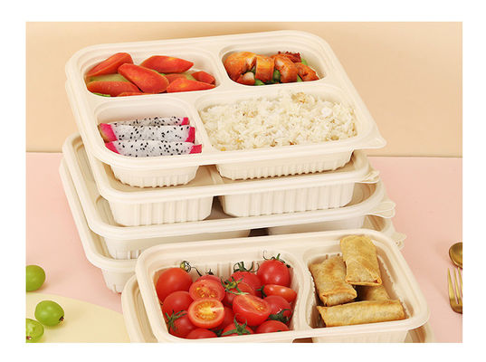 Biodegradable Disposable Cornstarch Lunch Boxes Restaurant Corn Starch Food Container Takeaway togo Takeout