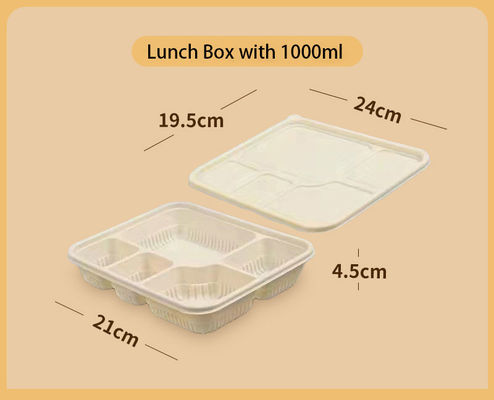Customizable 1000ml Greaseproof and Microwavable Eco Friendly Food Containers Biodegradable Lunch Box Disposable