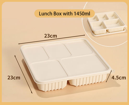 100% Compostable Disposable Food Container Biodegradable Plates Lunch Food Tray