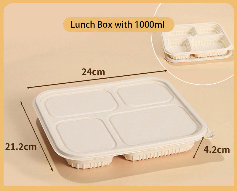 Biodegradable Disposable Cornstarch Lunch Boxes Restaurant Corn Starch Food Container Takeaway togo Takeout